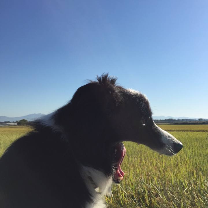 14d1a413 5397 4b9f 9439 ac66e62c0fca 1539388344183