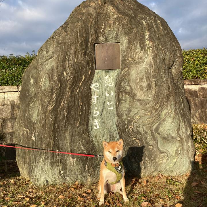 14d1af9d 8106 4d2b af8f 03ea51d7deed 1673178230892