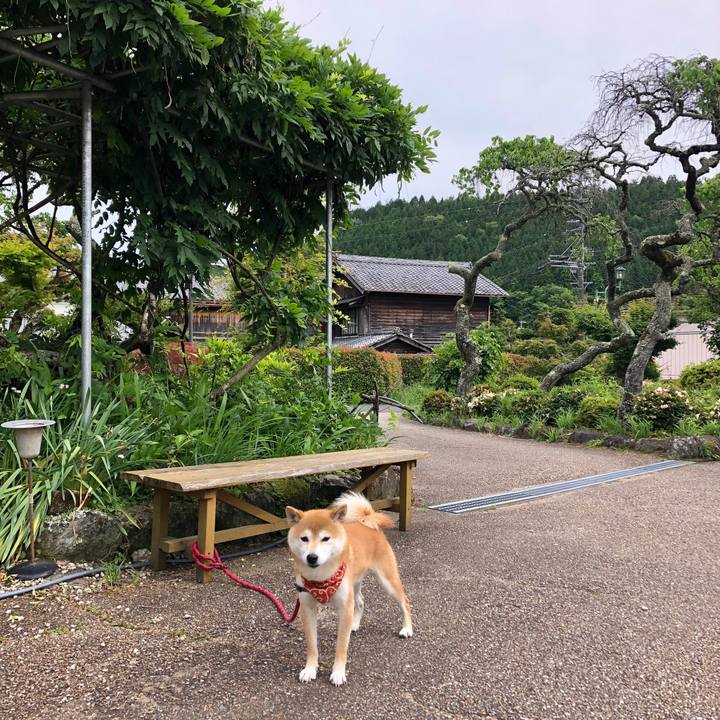 14d1d4f0 a754 43e7 a9bc 46a81147ab0a 1561110666709