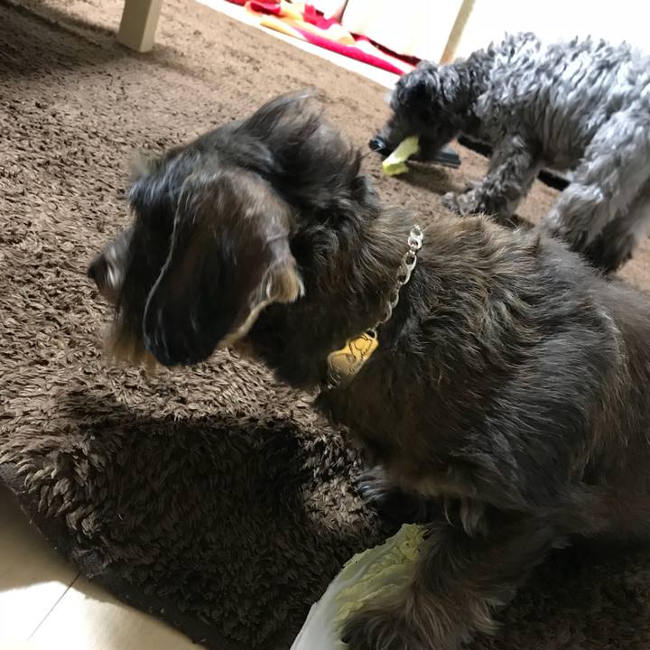 14d1dbae 496e 4e89 924e ee4a3386248e 1517049468648