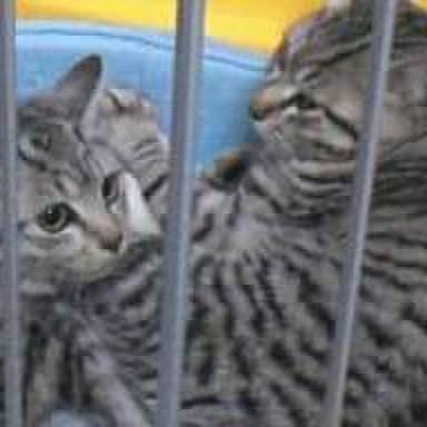 14d2144b 9e20 45f0 83e2 8b63dca16aee 1569235358216