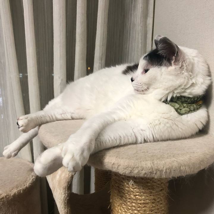 14d23744 3e11 4f06 b4e5 72f4aa91b80a 1566308305369