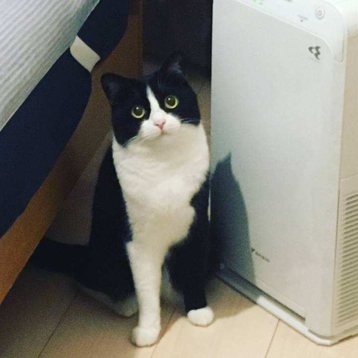 14d2436c 0f99 437c bc88 f74b13d88c43 1596626766052