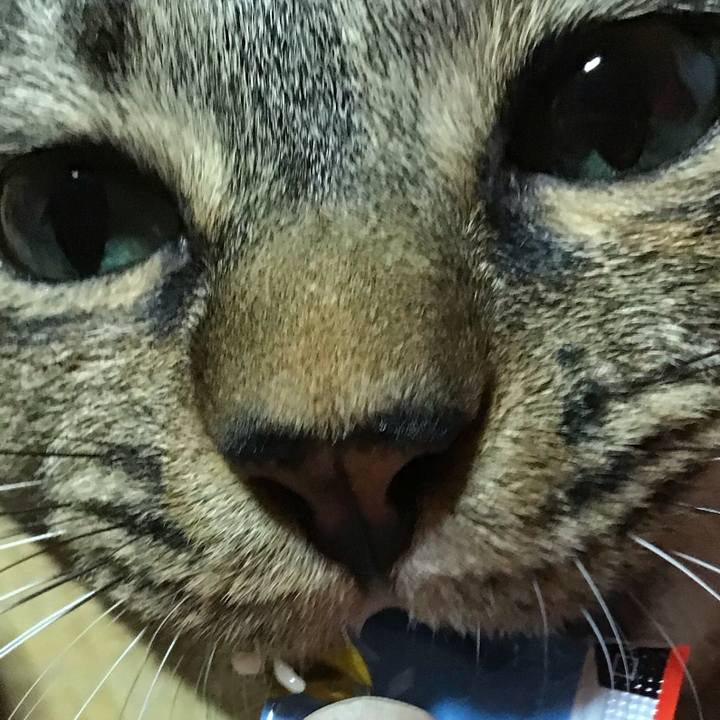 14d24ff1 c90b 4db2 9b68 4812a87b48f8 1751026889015