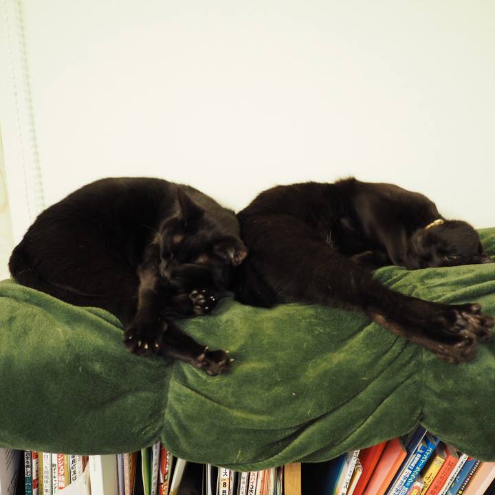 14d25d8e 86b9 41f6 821c 81e7079e032c 1550567422757