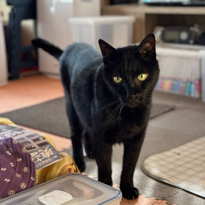 14d28640 0bc9 4855 81e3 06c10285d048 1697851834581