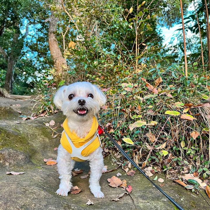 14d28d44 0ee7 43bb a536 3f22d27213ea 1670228166921