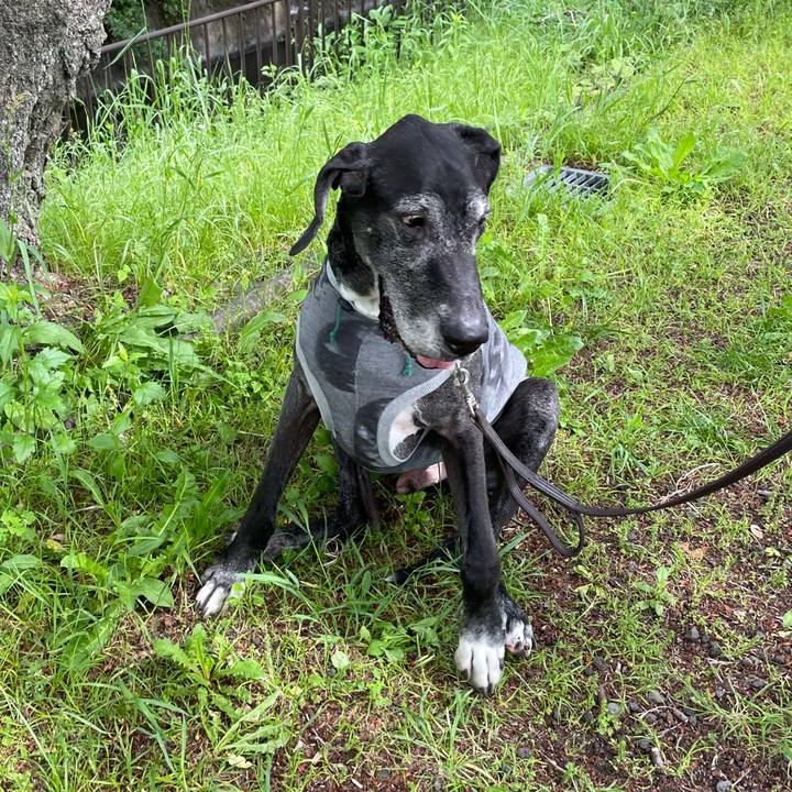 14d2bda1 94d4 42ef b49f 155777c50eec 1620191520521