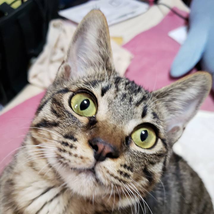 14d2c490 bc85 4ad3 a9b5 d78b335c8234 1543641321585