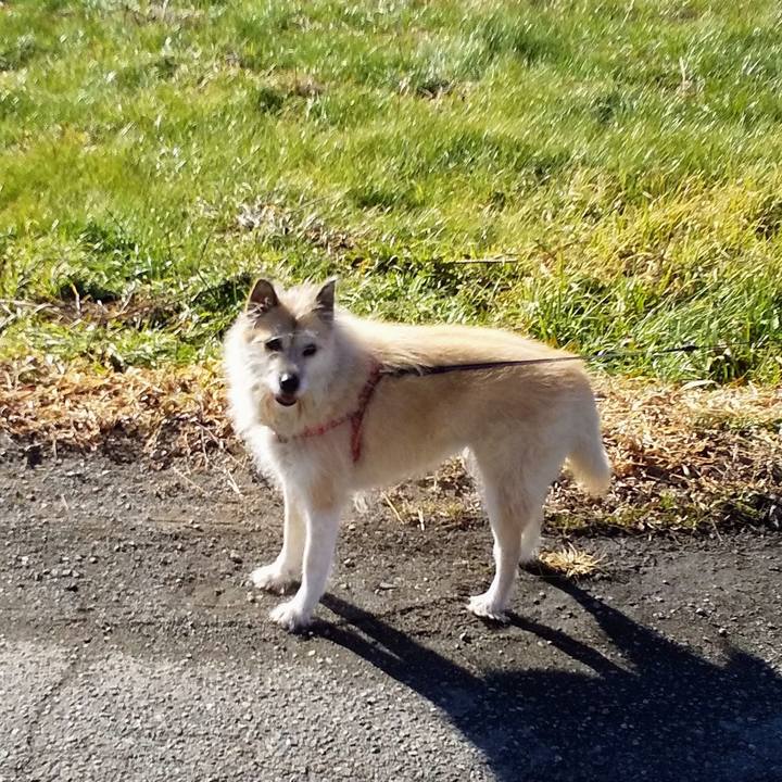 14d2cb5a 7293 45b4 b7bc 5e67d21ac336 1546316360871