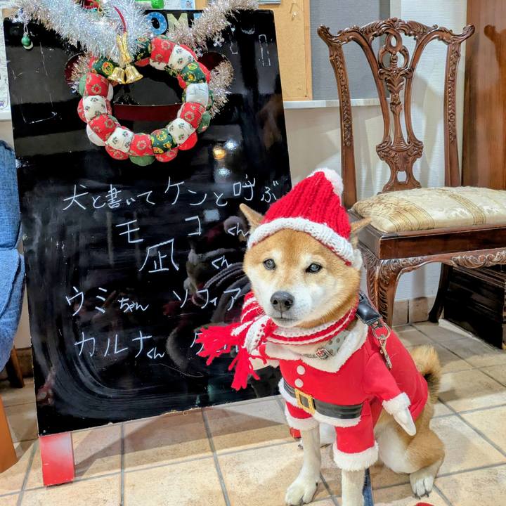 14d30180 9ee3 4ba1 9c5c ee5076de1efd 1766120726303