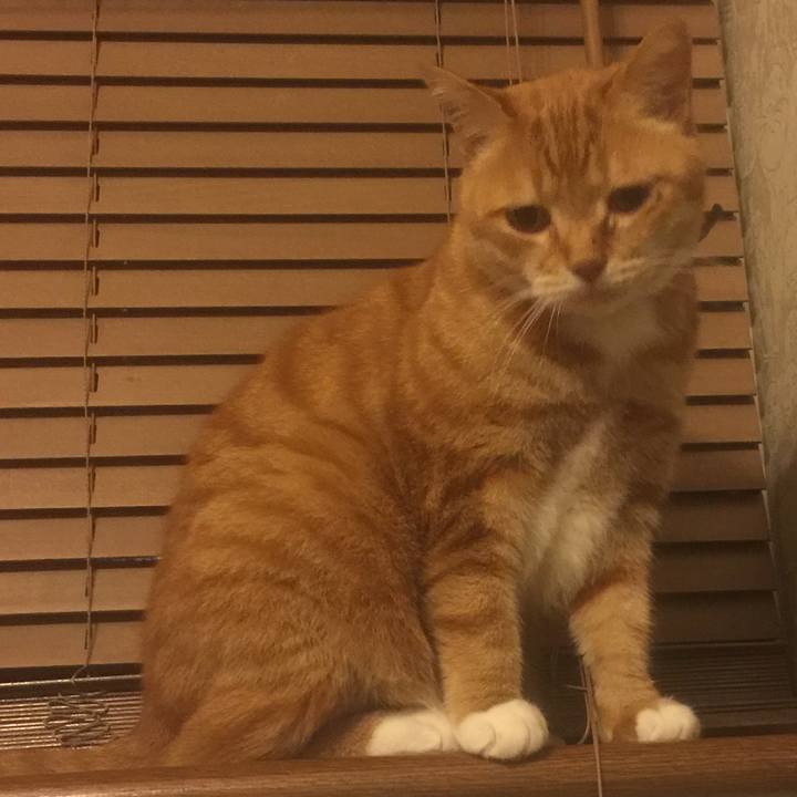 14d30b8f 0b16 4f0b bb06 664f7c6a2082 1556021664620