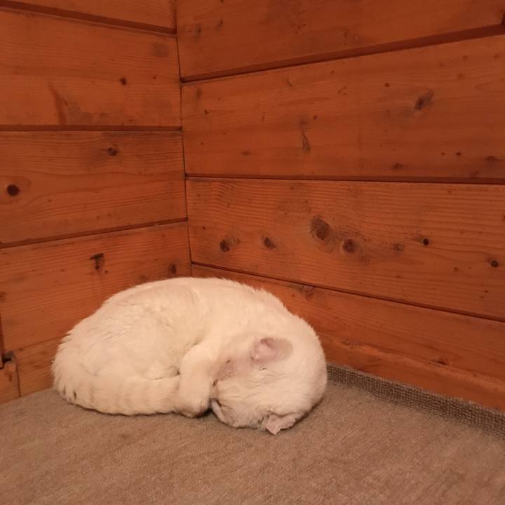 14d3266c 5721 4f70 8f73 6019263965bd 1533895126432