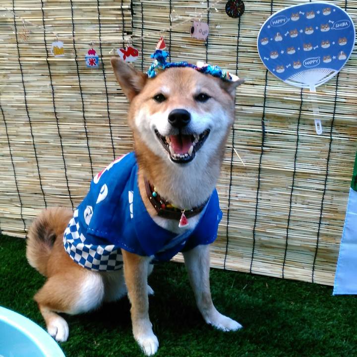 14d32e9b d457 4b25 9930 9bbdad99dbf0 1533336862863