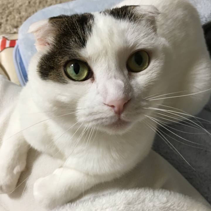 14d3615c 0b64 4046 be91 32d857d0ee55 1516705954820