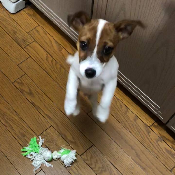 14d36b7e 2515 4191 9268 6a3e431d64a4 1513550325791