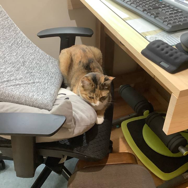 14d37d63 cce4 4c1d adbb 8ea6321e9ff4 1623802070898