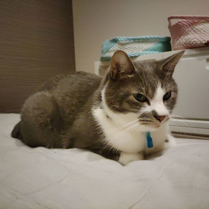 14d38ef7 b7bd 4fb6 83b8 1649ba3835b5 1669902082955