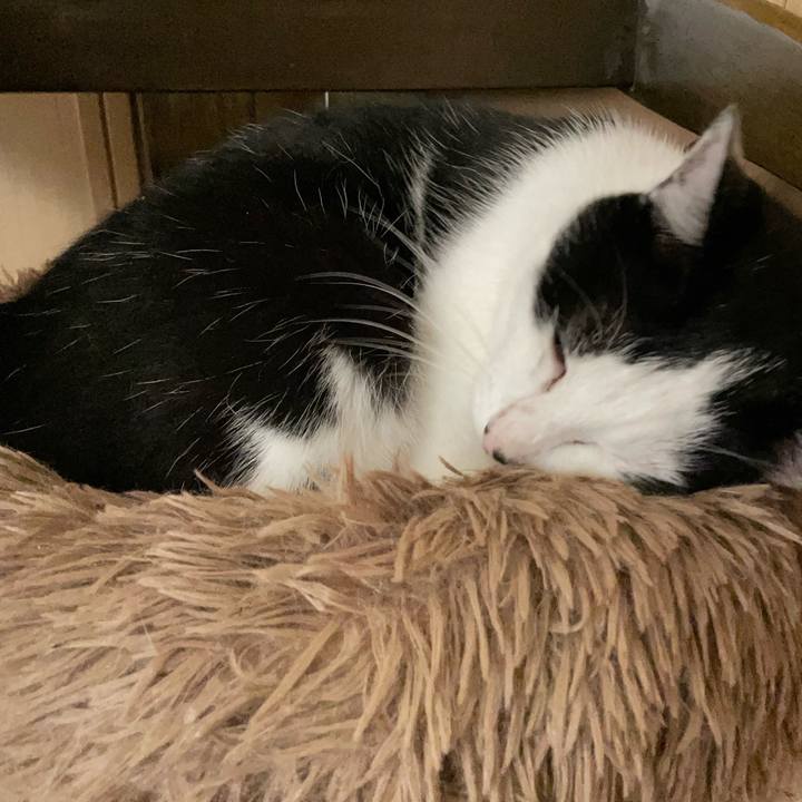 14d399b9 a587 4847 baf0 8804a89ffda1 1689178299859