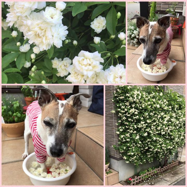 14d3aaa7 52e8 4980 ae73 12a2b065f149 1524806875199