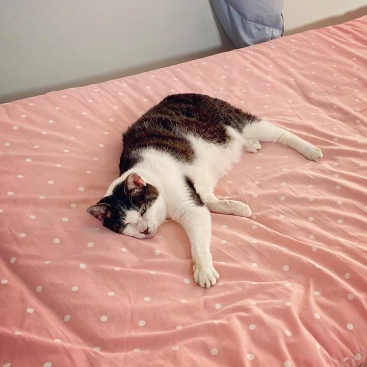 14d3cec6 22ab 4eaf 9d22 e6a2ab72e0ec 1589702765886