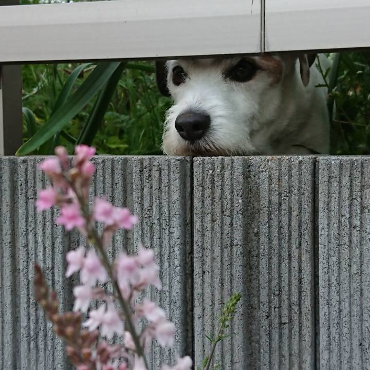 14d3d485 e06e 4727 8adb e2db559d94a0 1558048481210