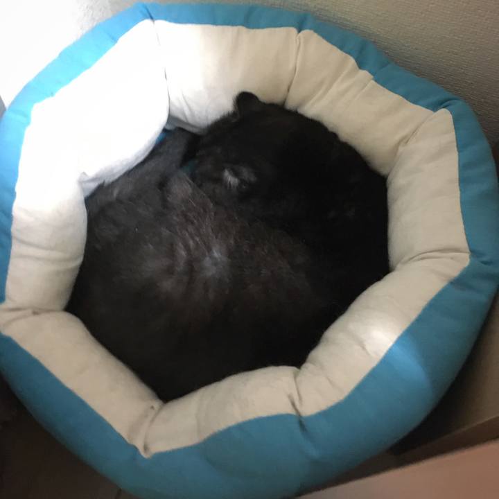 14d3dd1e e84f 45d6 bc26 c13d39b292da 1571407505153