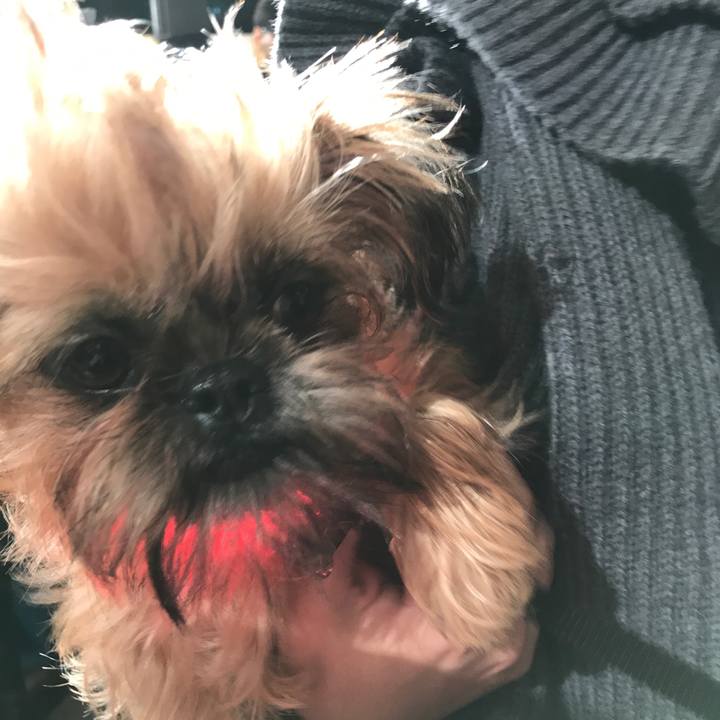 14d4004d 6c04 4960 8ace f91f838f4633 1511187225421