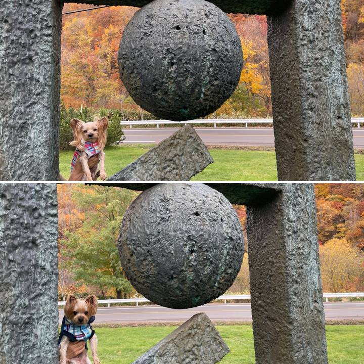 14d4124b bd7c 49b1 9f64 be8a0ad5a6d1 1636103780648