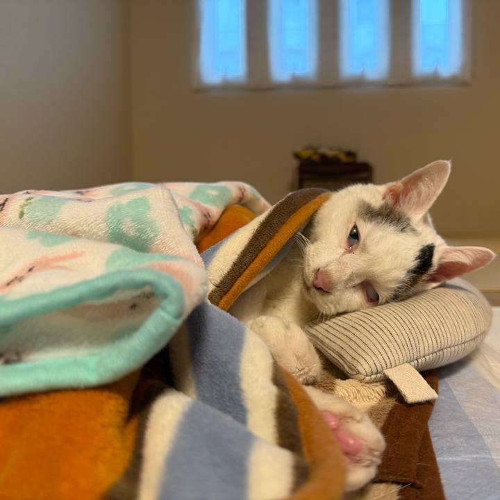 14d42797 b472 42e7 9667 02c6a2db6e66 1760935377600