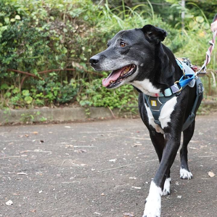 14d43549 7aeb 495a 8501 0090021e4bfe 1759532376973