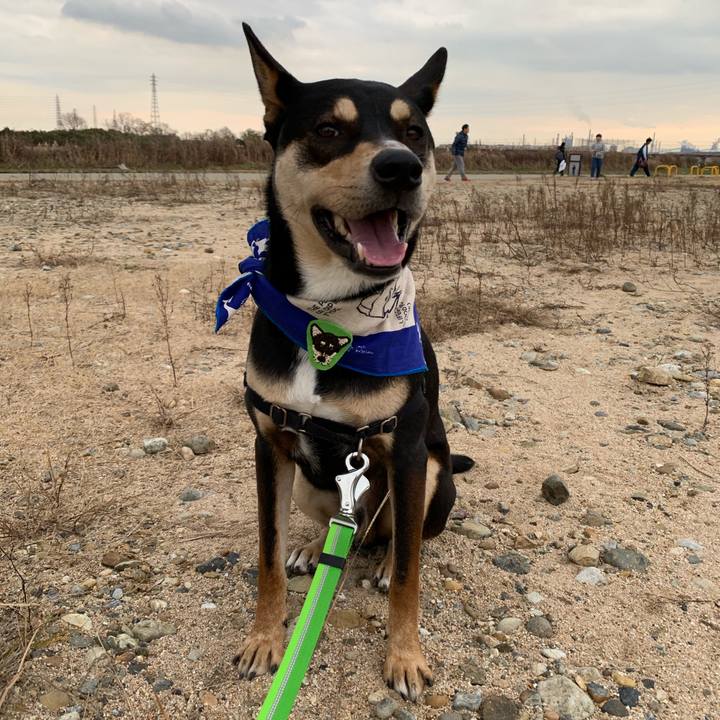 14d43913 e493 472a 8ee0 e5edbf0357ef 1546353807816