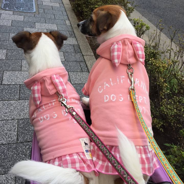 14d473d2 8eef 4451 a93a 9fc20700f214 1540121466698