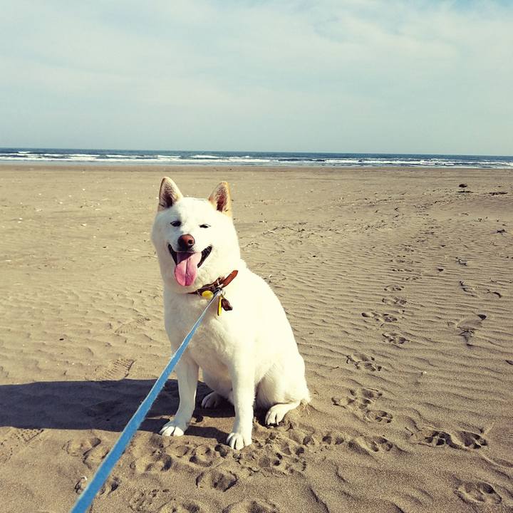 14d4ab78 0109 49bb aaa0 eceac65d5b2d 1522189139622