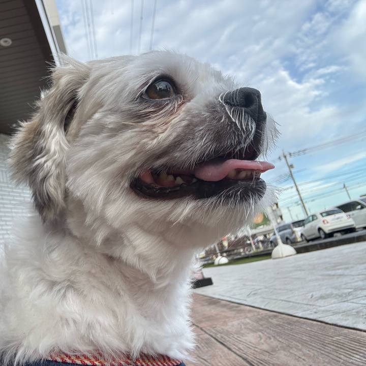 14d4c67c 1163 4e8b ba78 bcc5920d3409 1760996900906