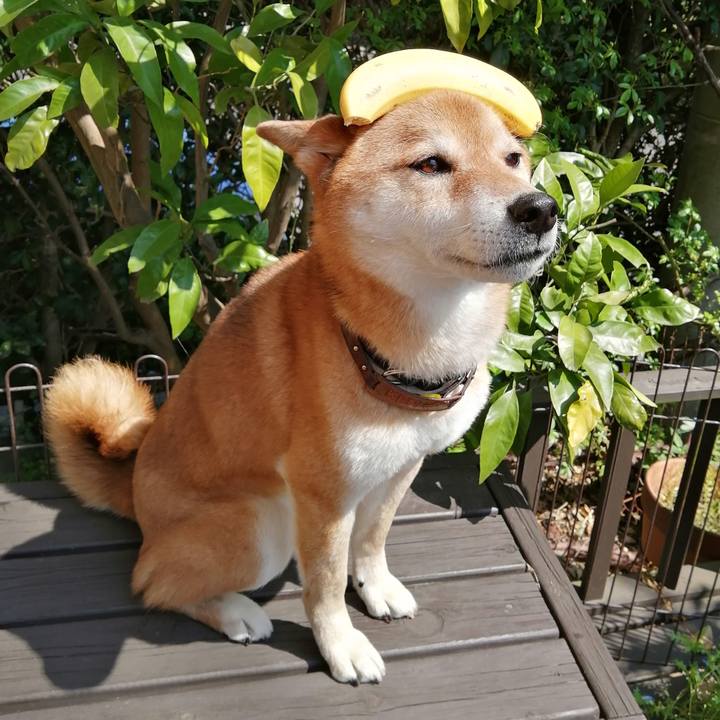 14d51deb 98c3 4bdb 8303 90225dc40546 1585973827360