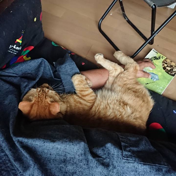 14d54911 c0bc 4667 801f 1b74f157ac6e 1662192027497