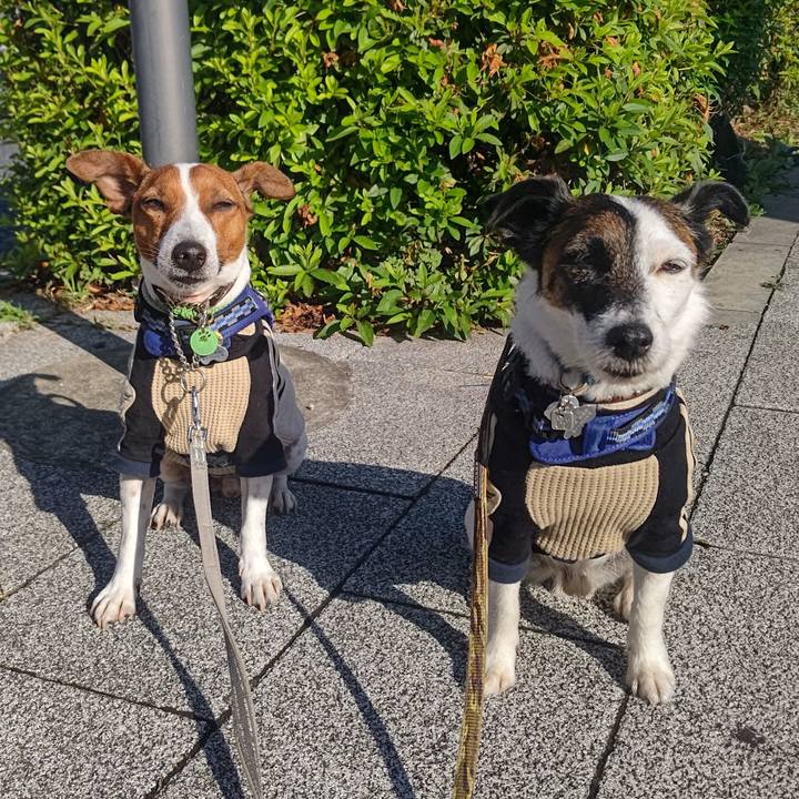 14d551b9 a71f 4e34 a3f2 0c56cdeddf8f 1653776767268