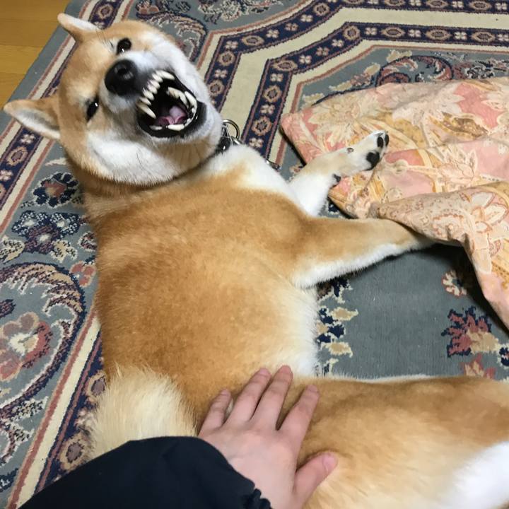 14d57116 0aa3 4b89 bfe0 7496024bc20d 1523867295631