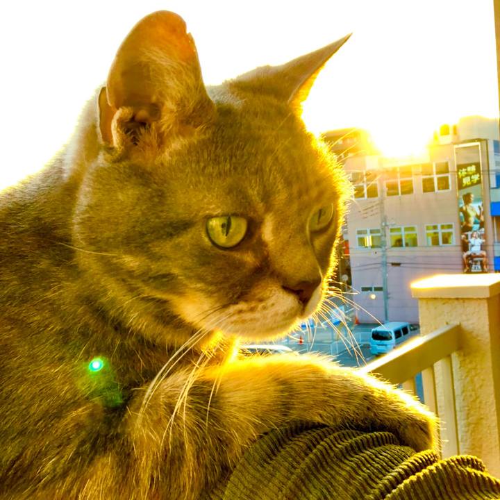 14d57ef6 75cf 4d08 897e 96e5c12bf226 1525620490539