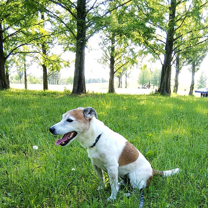 14d5bd5f 4c1e 474d a2ed fc36d107c053 1557563612497