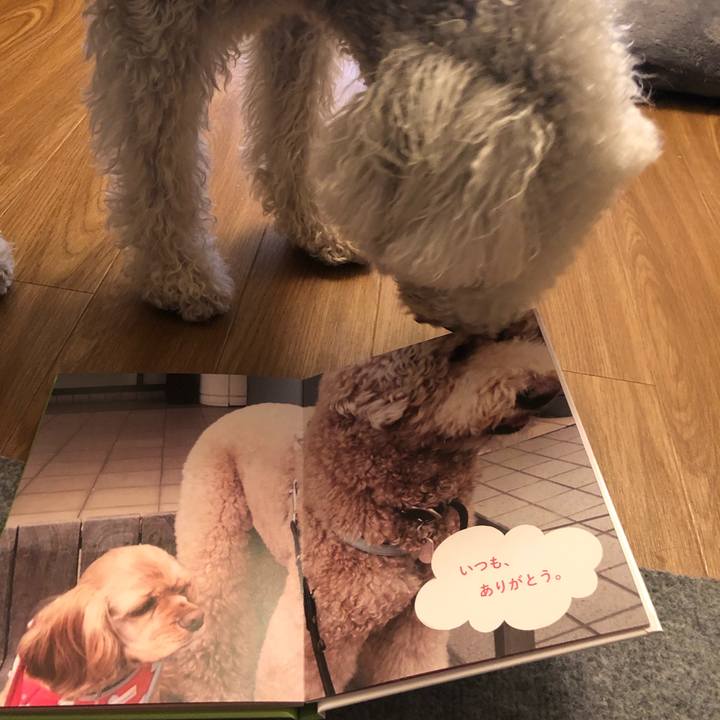 14d5d48e 1613 44c7 8456 f6bced4aba30 1625037745970