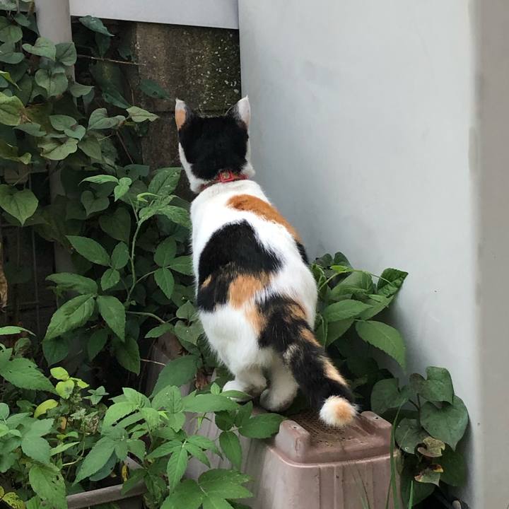 14d5dc8b e08f 453f abcd aba2d7335ef3 1633992165306