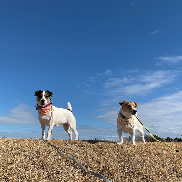 14d61007 0c9f 4e9c ada7 a29ebc91e5aa 1580533975478