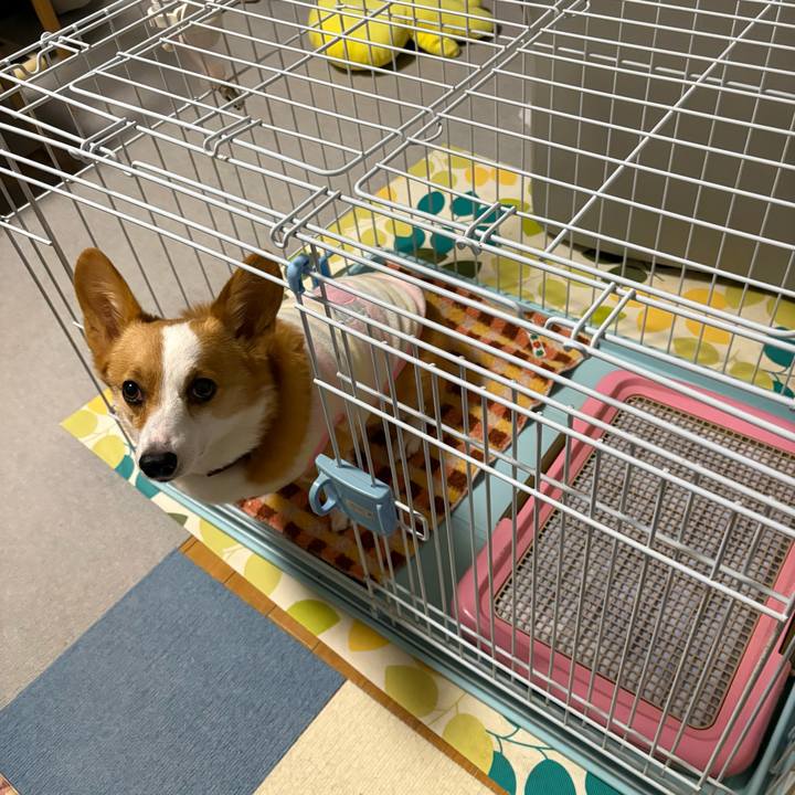 14d62fe8 fb91 44aa 9dca 4ad969f125f4 1768082674246