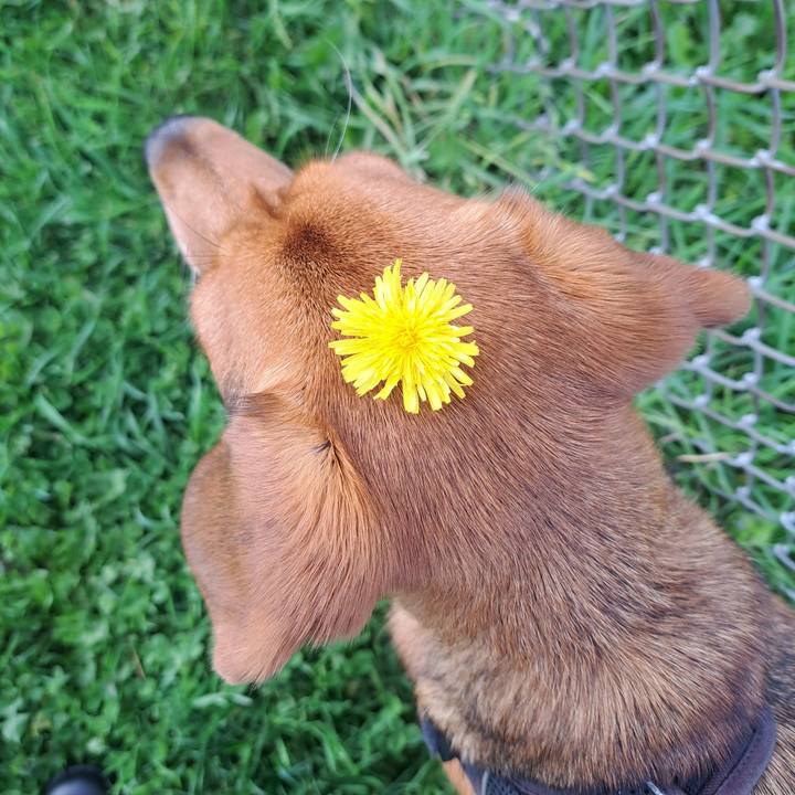 14d63fe2 f412 4728 b630 93596b8f1d49 1761081780907