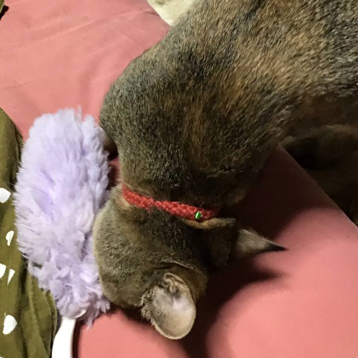 14d64fc9 9e65 4348 8a4b 3559b143edba 1579082658773