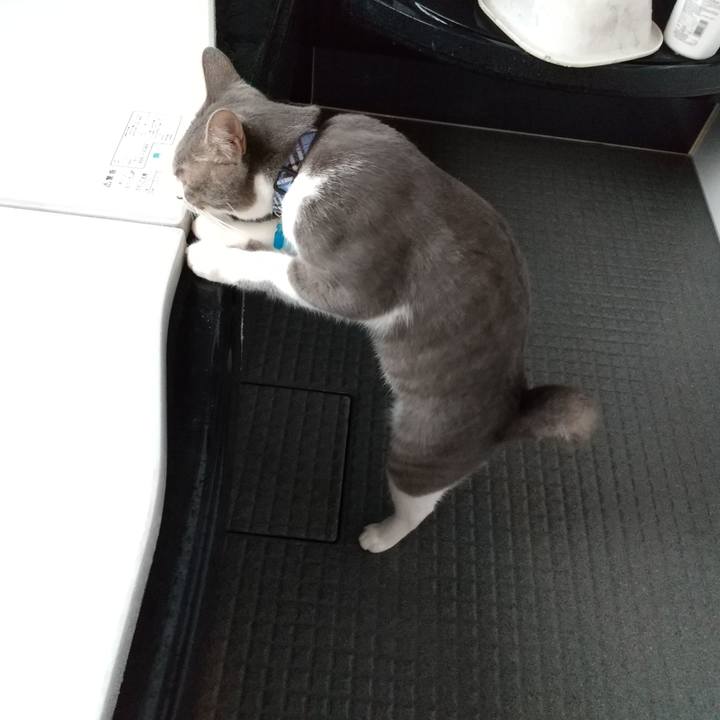 14d665af 3819 4520 969c da3bcb7409e4 1596064205001