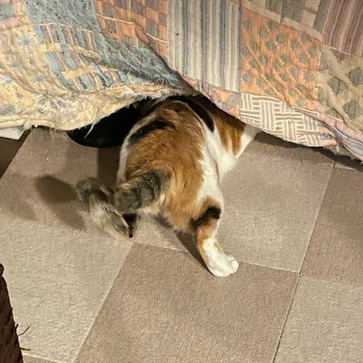 14d6a1ec 079b 4356 9744 7ba71508cbc4 1661348331774