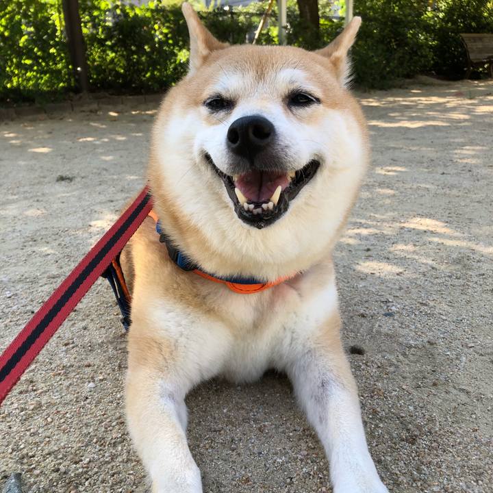 14d712d2 7c14 43f3 a0e4 8072b8689e87 1567509933745